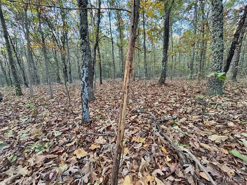 3 County Road 4215, Salem, MO, 65560 | Card Image