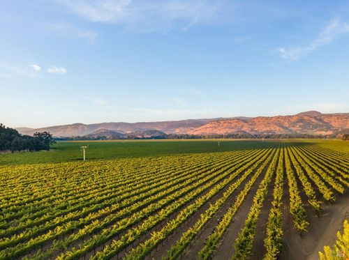 6950 Yount Street, Yountville, CA, 94599 | Card Image