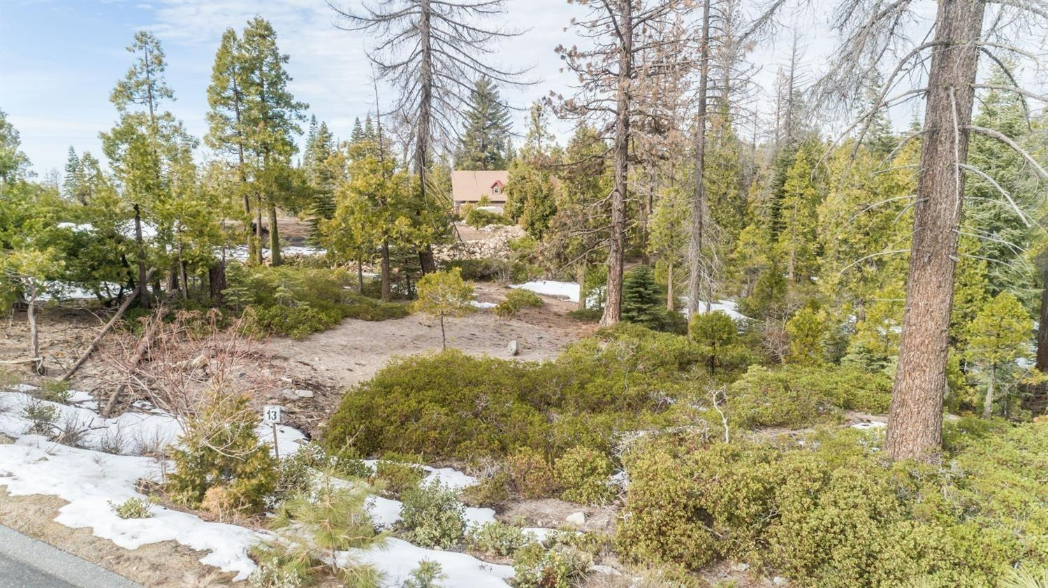 Land in Shaver Lake 5