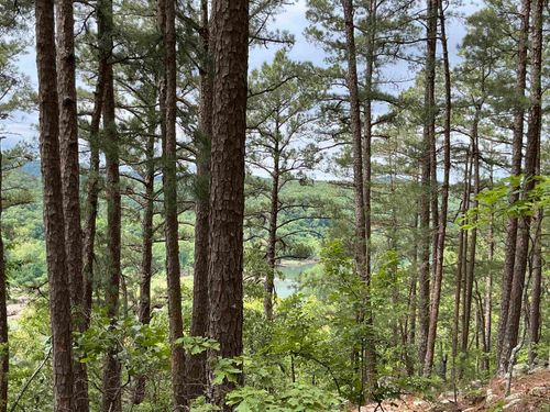 10 Woodsman Road, Melbourne, AR, 72556 | Card Image