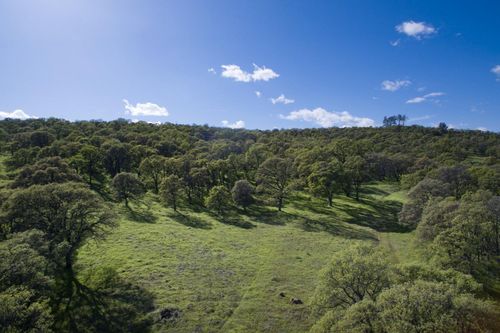 Lot 29 Mountain Oak Ct, Browns Valley, CA, 95918 | Card Image