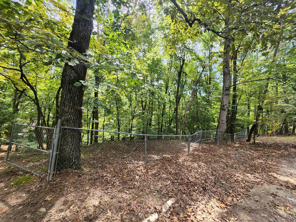 Land in Ellijay 5