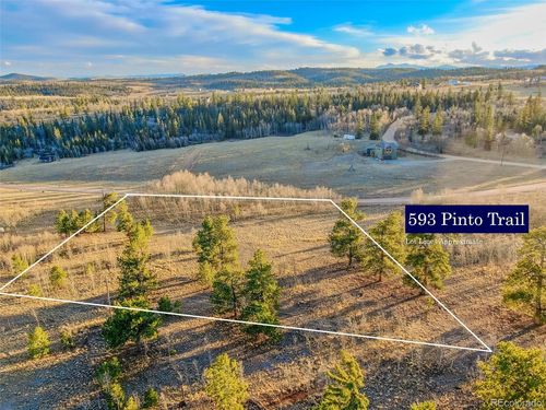 593 Pinto Trl, Como, CO, 80432-5200 | Card Image