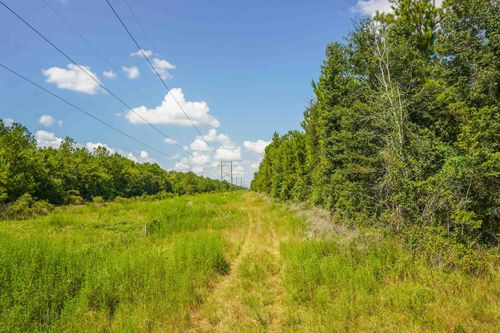 TBD Segno Rd, Saratoga, TX, 77585 | Card Image