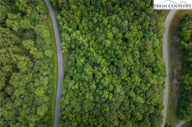 Lot 107 | Image 5