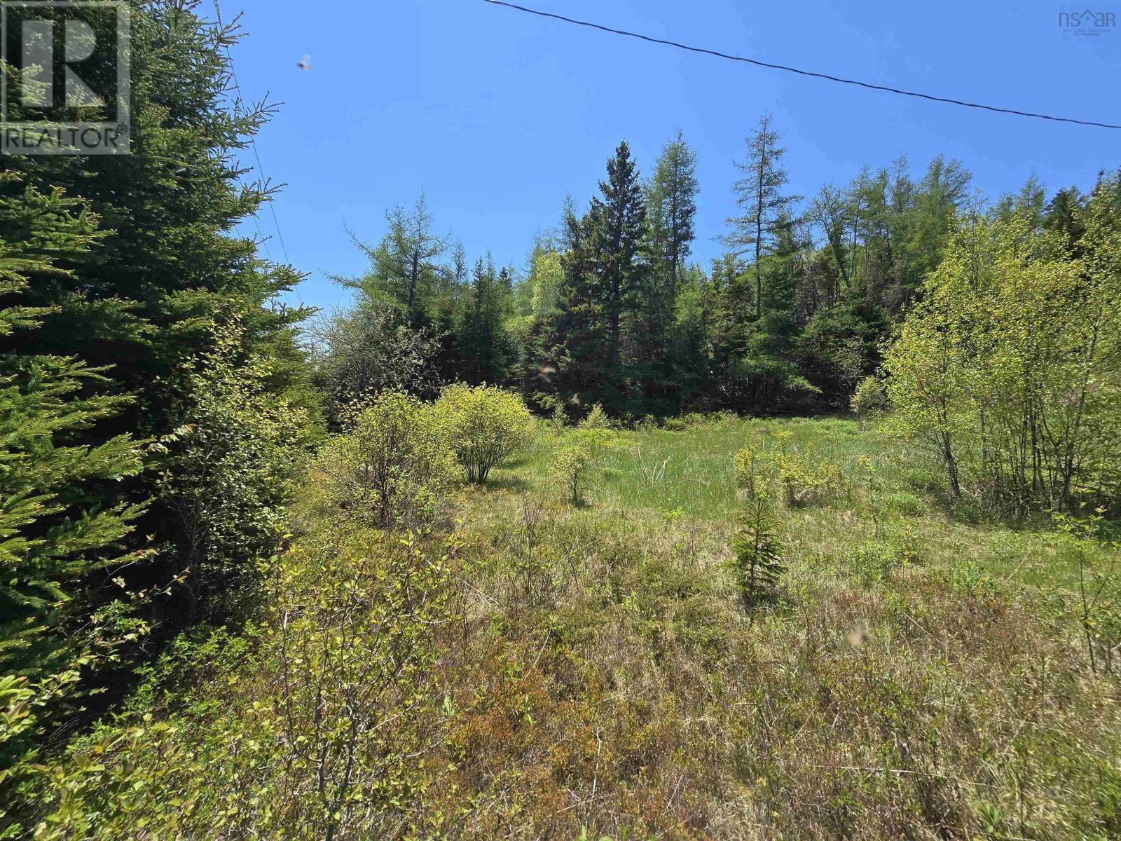 Land in Country Harbour