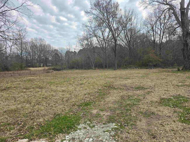 1047 S Hickory St, House other with 3 bedrooms, 2 bathrooms and null parking in Bald Knob AR | Image 7