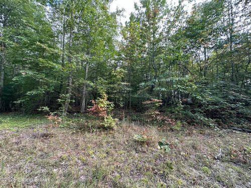 16 Cherokee Trail, Nancy, KY, 42544 | Card Image