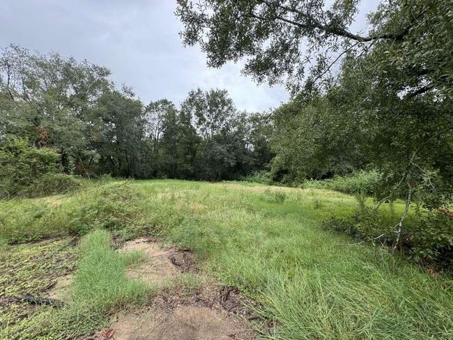 785 Young St, Home with 0 bedrooms, 0 bathrooms and null parking in Bridge City TX | Image 5