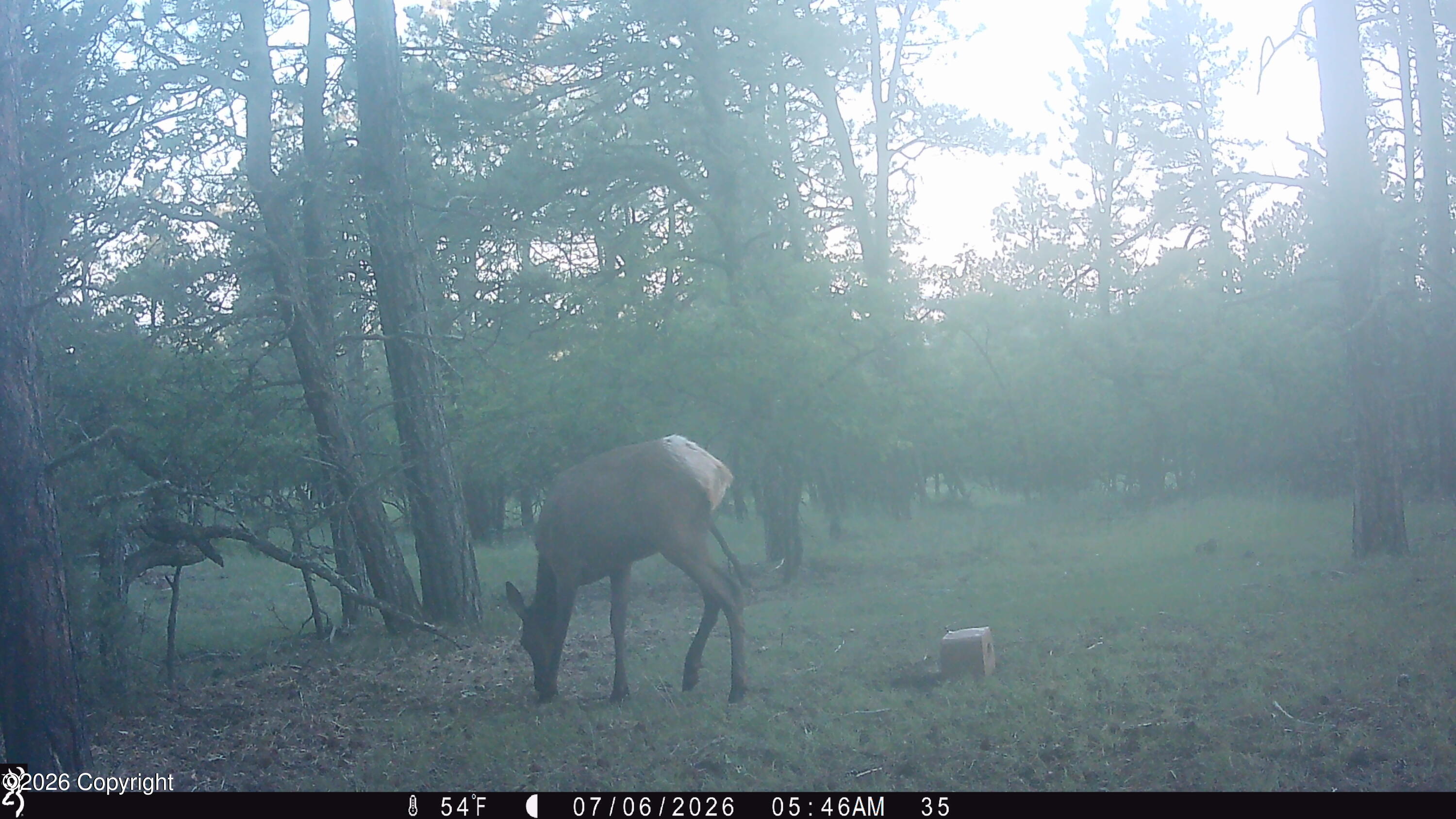 Land in Hulett