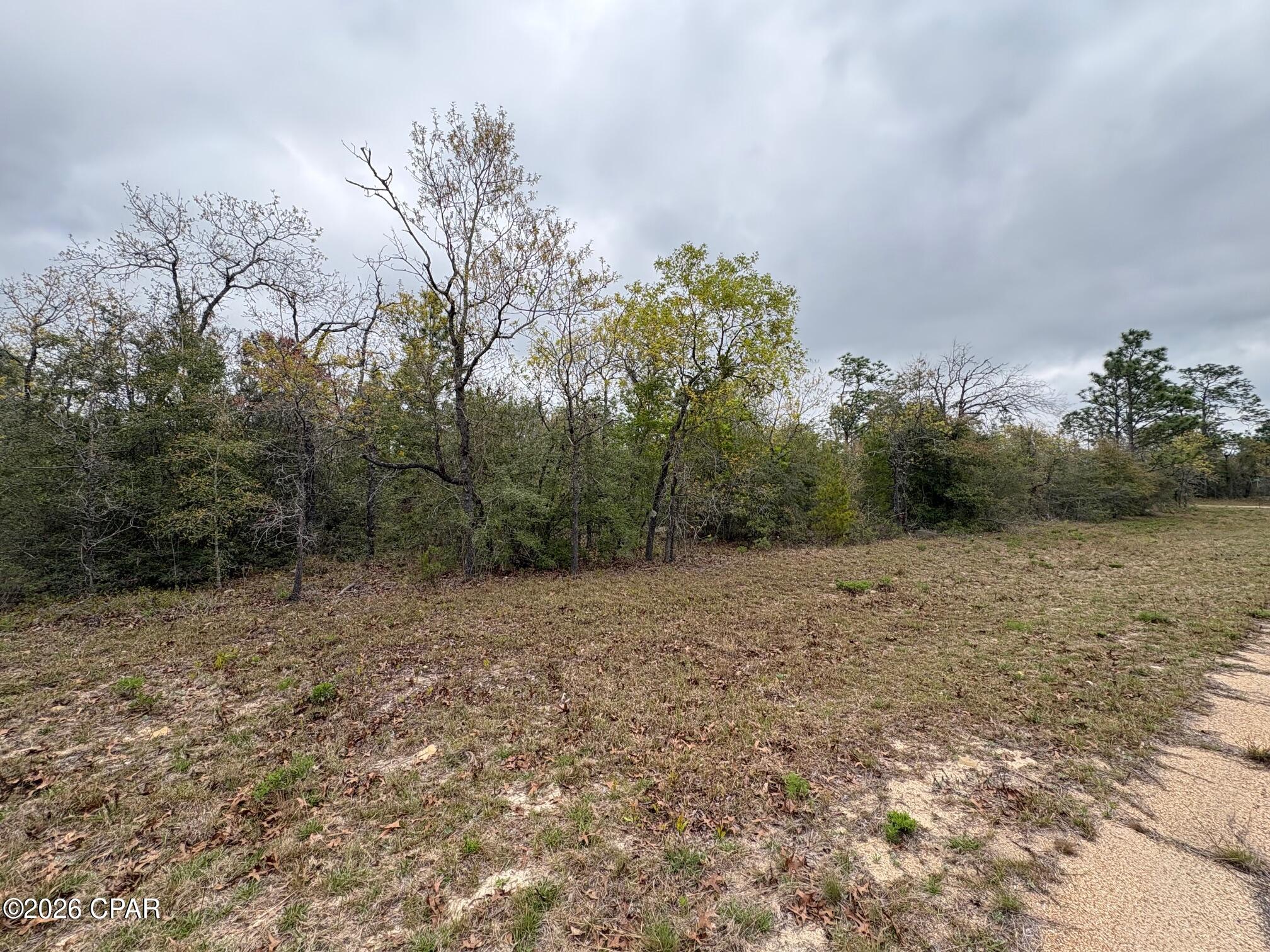 Land in Chipley 4