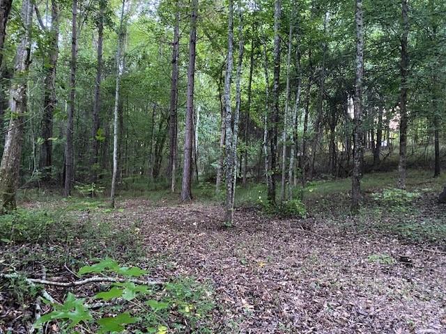 Land in Winder 5