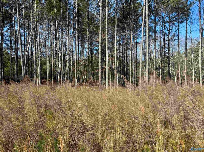 1262 Steel Plant Lake Rd, House other with 3 bedrooms, 2 bathrooms and null parking in Altoona AL | Image 6