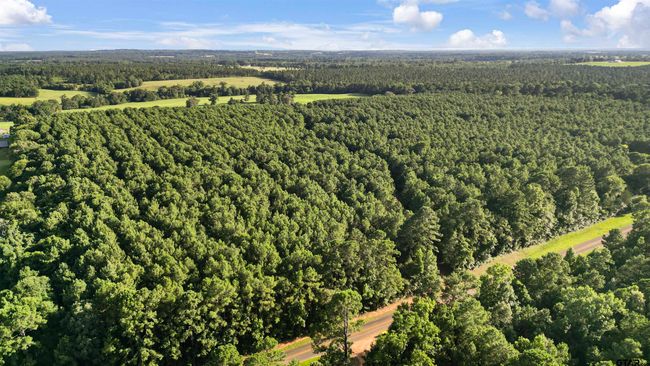 TBD 17.57 ACRES Fm 2274, Home with 1 bedrooms, 1 bathrooms and null parking in Troup TX | Image 21