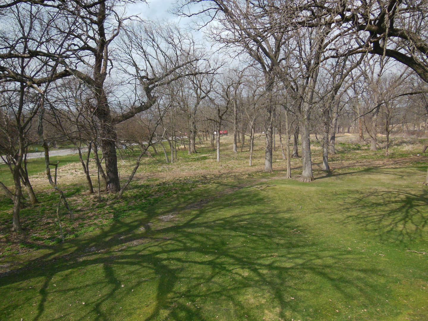 Land in Wayne 5