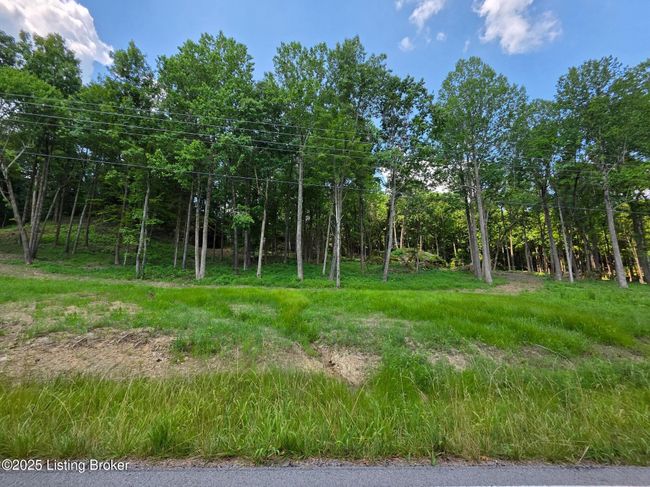 5 Cave Creek Rd, Home with 0 bedrooms, 0 bathrooms and null parking in Falls Of Rough KY | Image 8