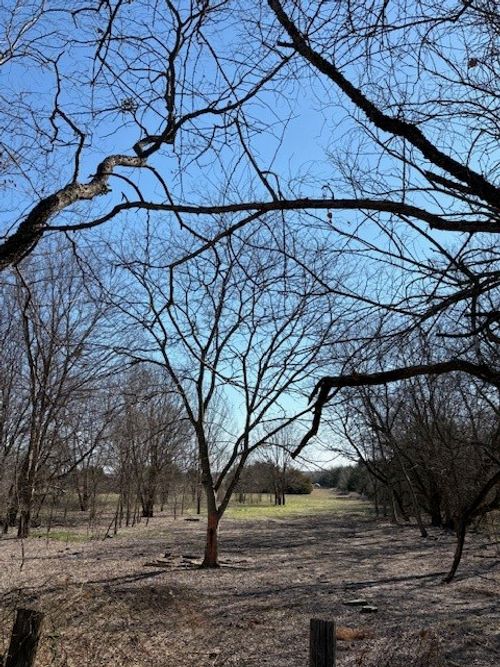 000 County Road 4518, Wolfe City, TX, 75496 | Card Image