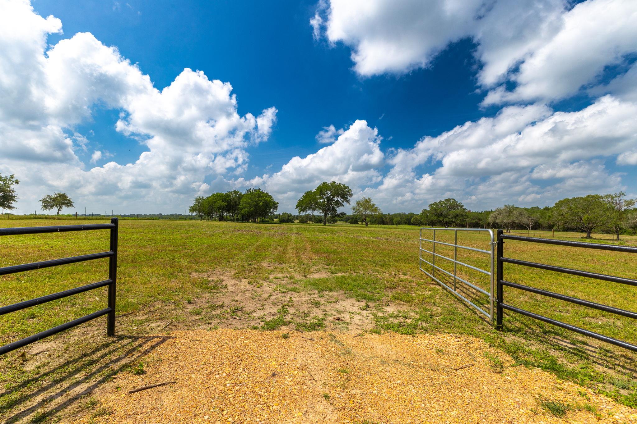 Land in Flatonia