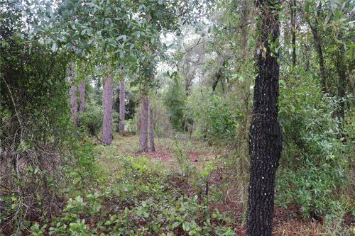 00 Nw Buena Vista Rd, DUNNELLON, FL, 34431 | Card Image