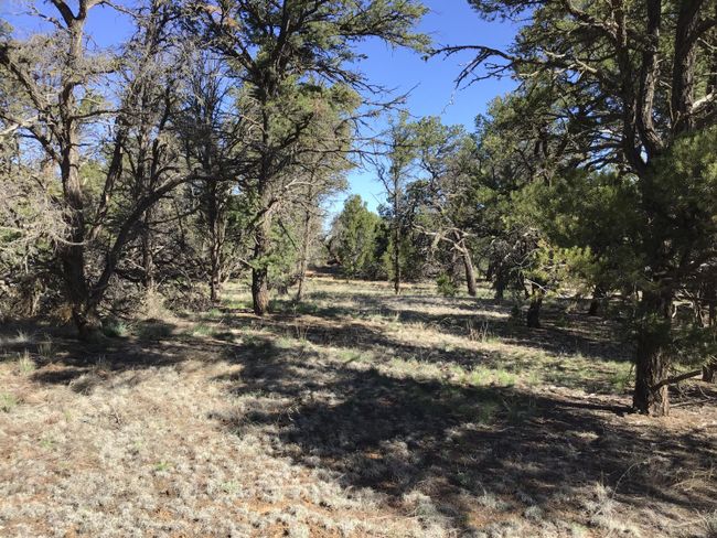 Lot 7 Red Fox Road, Home with 0 bedrooms, 0 bathrooms and null parking in Ramah NM | Image 11