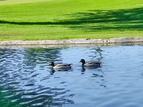 49211 Douglas St, Indio, CA, 92201-7591 | Card Image