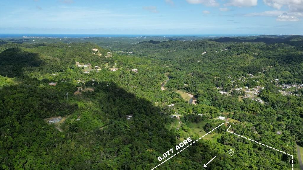 Land in VEGA ALTA