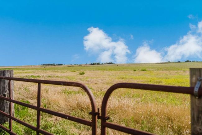 Pasture fence | Image 48