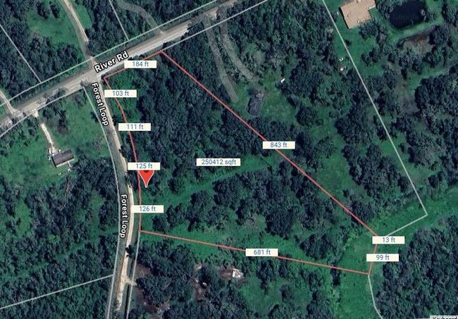 107 Forest Loop, Home with 0 bedrooms, 0 bathrooms and null parking in Angleton TX | Image 8