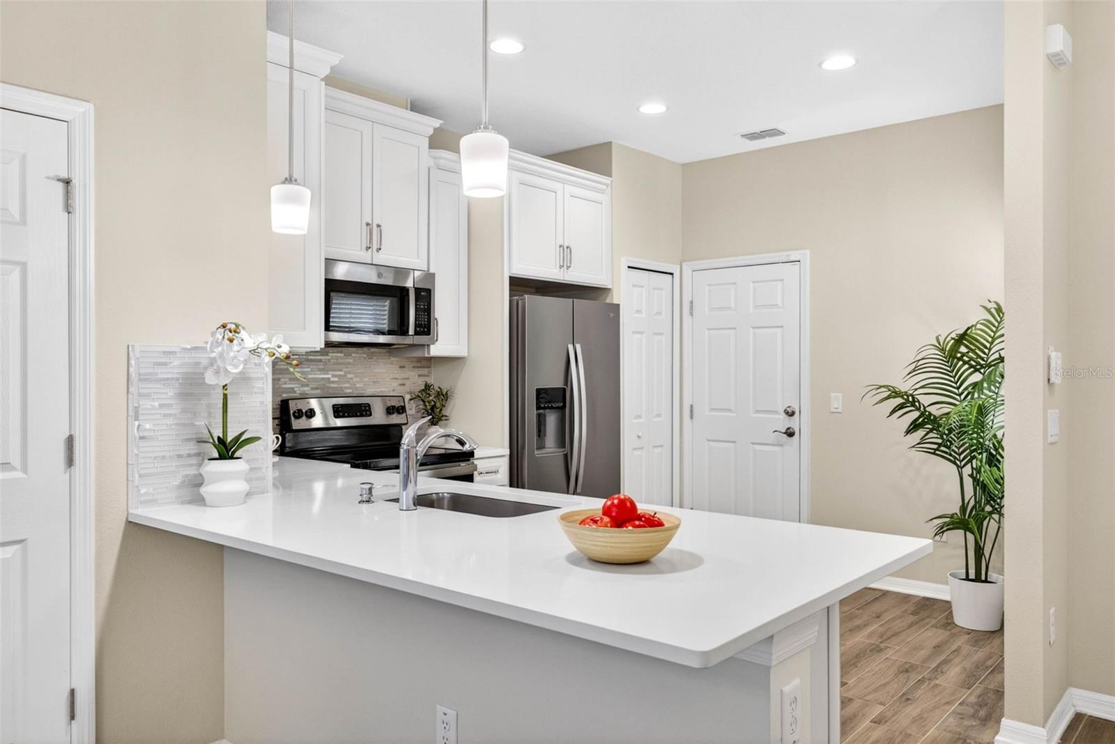 Residential in WESLEY CHAPEL 4