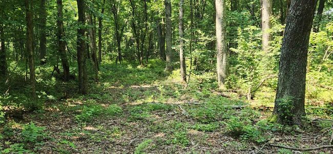 22 AC Southern Road, Home with 0 bedrooms, 0 bathrooms and null parking in Lyndon WI | Image 9