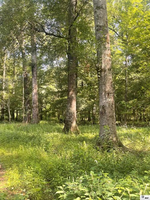 00 Norris Rd, Choudrant, LA, 71227 | Card Image