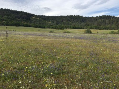 1741 Farmer Ranch Rd, Hayfork, CA, 96041 | Card Image