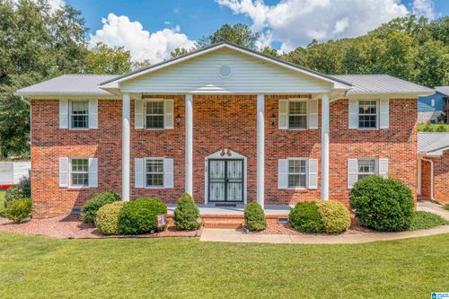 20 Mountain Dr, JACKSONVILLE, AL, 36265-9793 | Card Image