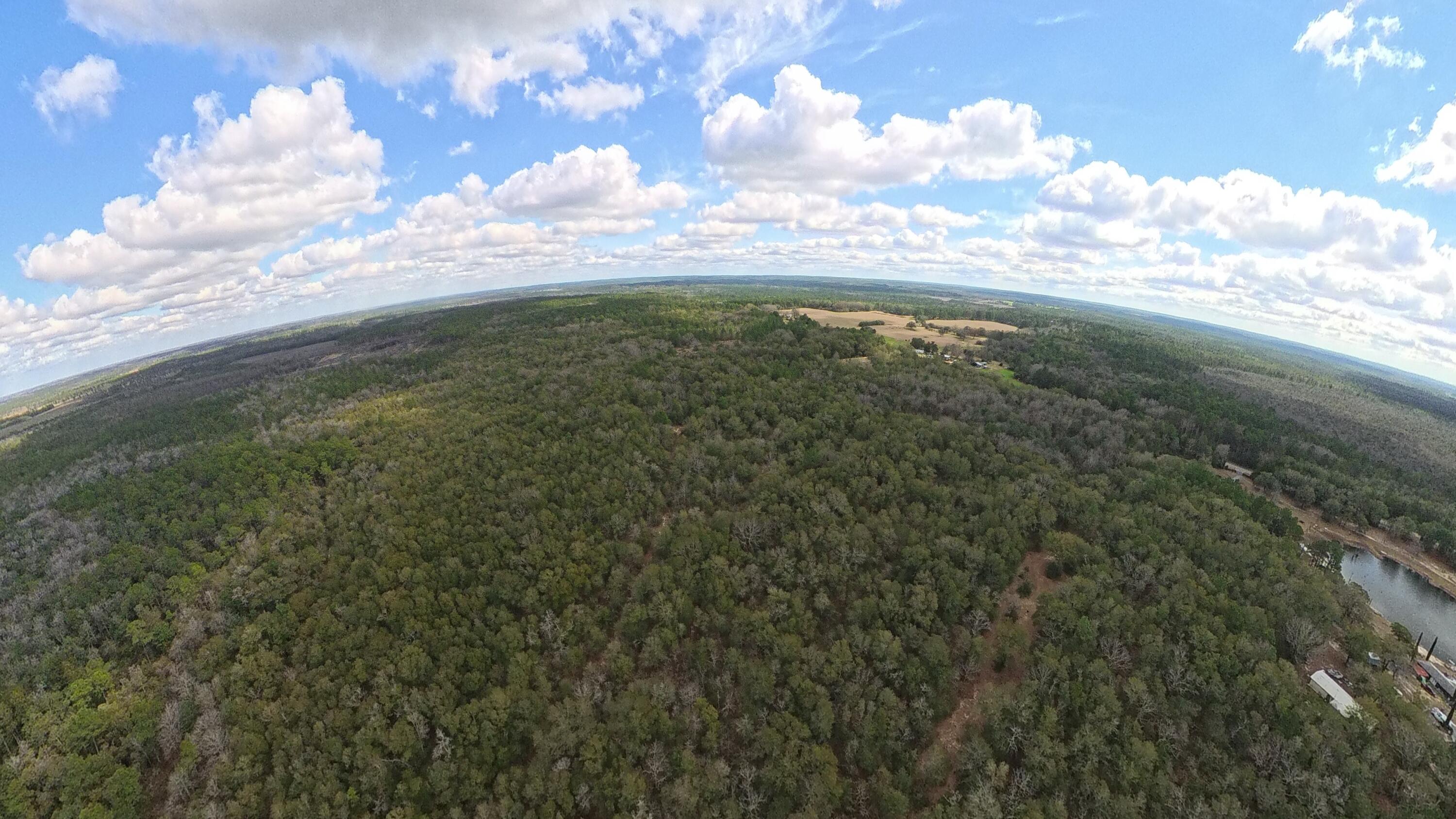 Land in DeFuniak Springs 3