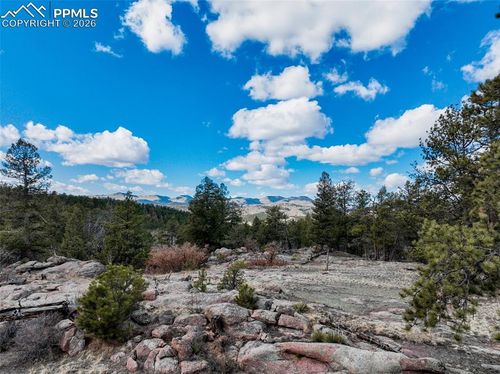 54 Ute Cir, Florissant, CO, 80816-9083 | Card Image
