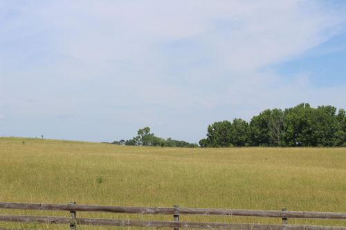 Lot 7 Ted Smith Rd, Rutherfordton, NC, 28139 | Card Image