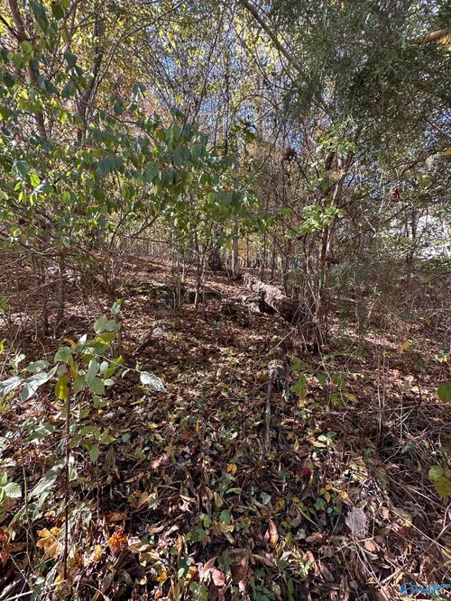 4620 Legacy Preserve Way Se, Brownsboro, AL, 35741-8905 | Card Image