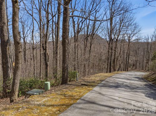 52-TBD Wild Magnolia Way, Zirconia, NC, 28790 | Card Image