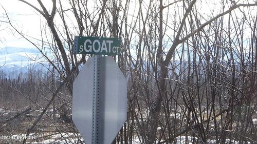 56731 Goat Rd, Gilmer, TX, 75644 | Card Image