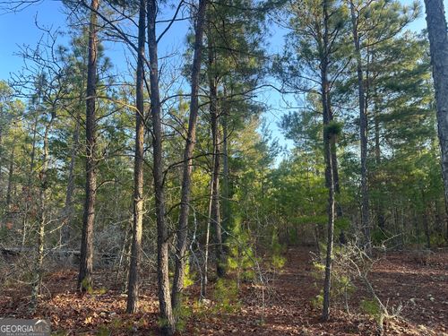 4.78 ACRES Horne Rd, Roberta, GA, 31078 | Card Image