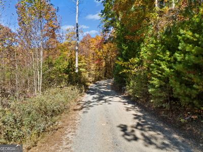 11.51 AC Old Burnt Mt Rd, Home with 0 bedrooms, 0 bathrooms and null parking in Ellijay GA | Image 1