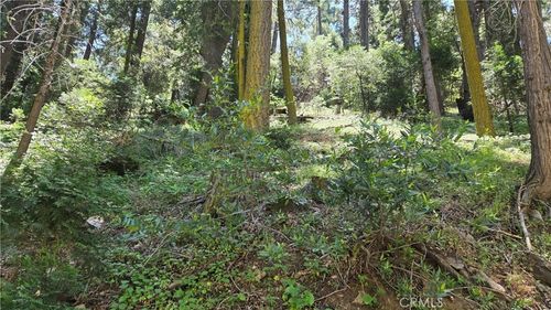 0 Waters Dr, Crestline, CA, 92322 | Card Image