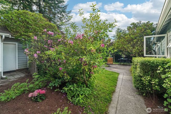 Cute shed addition next to garage for recycling/garbage cans etc. plus private walkway to house from top of driveway. | Image 28