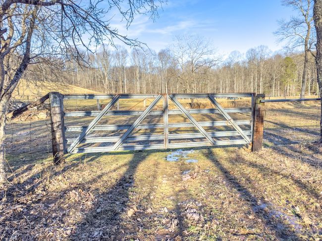 92 Acres Laurel Fork Rd, Home with 0 bedrooms, 0 bathrooms and null parking in Rocky Gap VA | Image 24