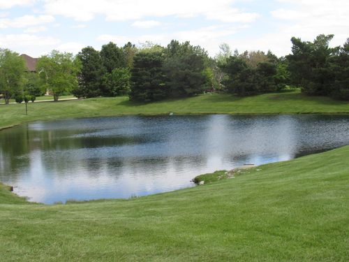 22276 Elise Blvd, Frankfort, IL, 60423-8023 | Card Image