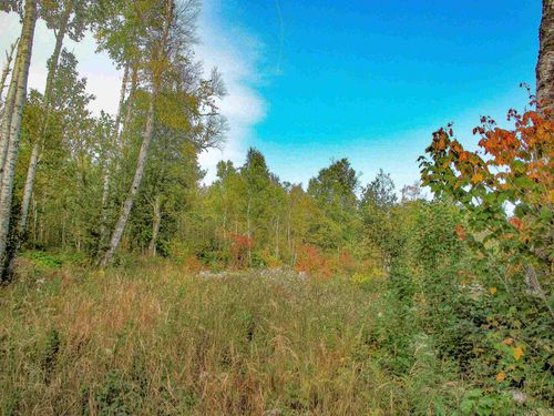 9223 W Highway 61, Schroeder, MN, 55613-8720 | Card Image