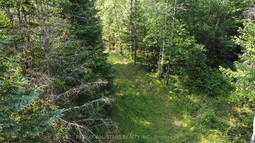 0 Penzance Trail, Highlands East, ON, K0L2Y0 | Card Image