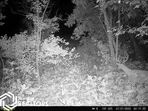 55558 330th Ave, Chariton, IA, 50049-8188 | Card Image