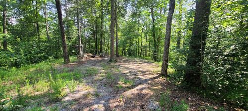 1011 Carrs Creek Rd, Townsend, TN, 37882-3135 | Card Image