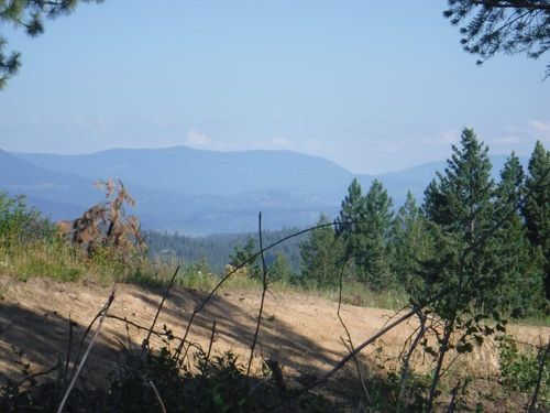 Lot 3 Moose Ridge Way, Loon Lake, WA, 99148 | Card Image